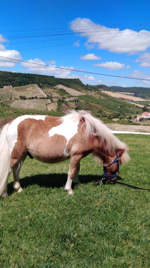 Casinha de férias no campo - Quintinha dos Cavalos - Arruda dos Vinhos Sabugos Exterior foto