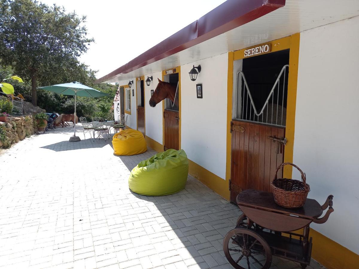 Casinha de férias no campo - Quintinha dos Cavalos - Arruda dos Vinhos Sabugos Exterior foto