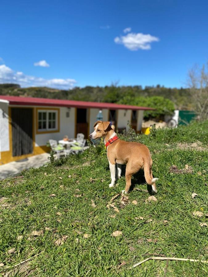 Casinha de férias no campo - Quintinha dos Cavalos - Arruda dos Vinhos Sabugos Exterior foto
