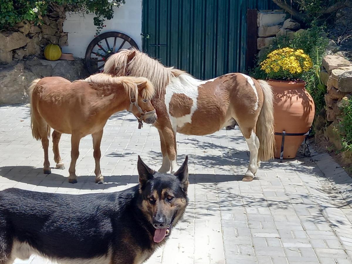 Casinha de férias no campo - Quintinha dos Cavalos - Arruda dos Vinhos Sabugos Exterior foto