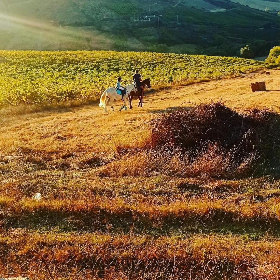 Casinha de férias no campo - Quintinha dos Cavalos - Arruda dos Vinhos Sabugos Exterior foto