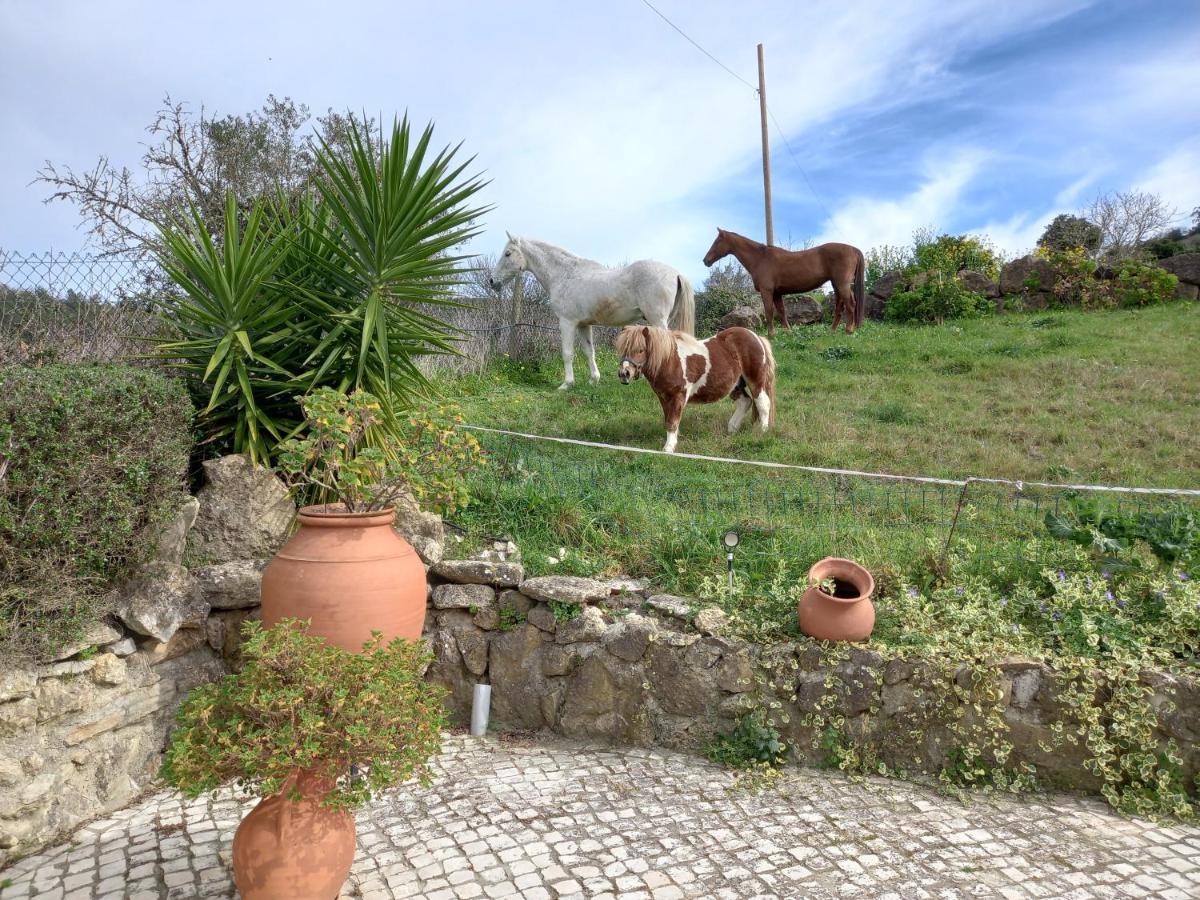 Casinha de férias no campo - Quintinha dos Cavalos - Arruda dos Vinhos Sabugos Exterior foto