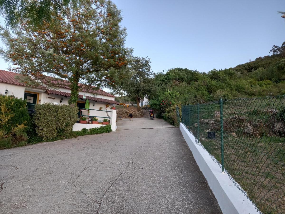 Casinha de férias no campo - Quintinha dos Cavalos - Arruda dos Vinhos Sabugos Exterior foto